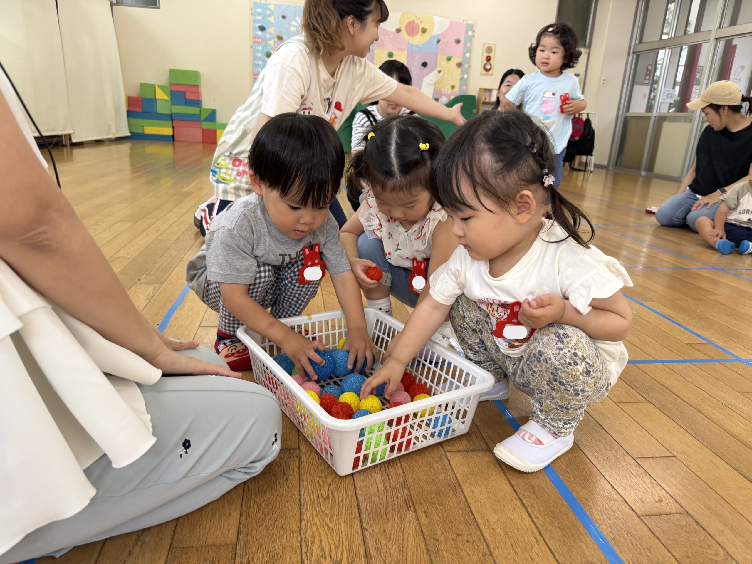 未就園児の方へ | 白幡幼稚園 | 学校法人 横浜アイリス学園 | 横浜市 